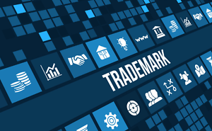 Trademark Modernization Act of 2020 Provides New Tools for Removing Deadwood Trademark Registrations from the Trademark Register
